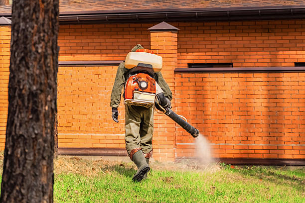 Trusted Bed Bug Control service in Oak Hill, WV - Nex Pest Control